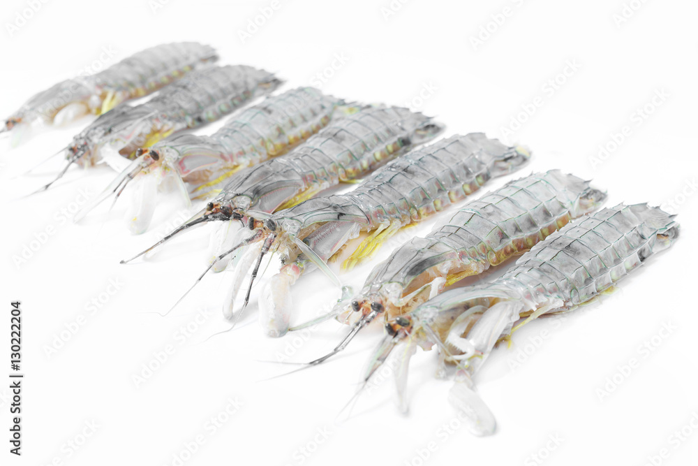 Fresh mantis shrimp seafood on the white background. Fresh mantis shrimp seafood on the white background.