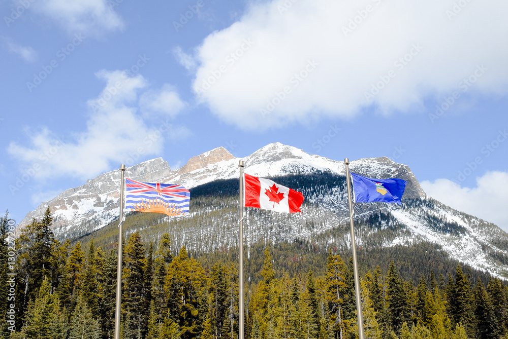 冬のカナディアン ロッキー アルバータ州とブリティッシュ コロンビア州の州境 Stock Photo Adobe Stock