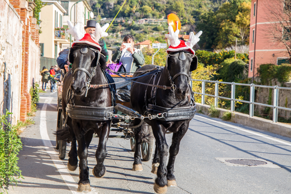 FINALE LIGURE, ITALY DECEMBER 9, 2016 - Black horses with carriage with funny Christmas hats