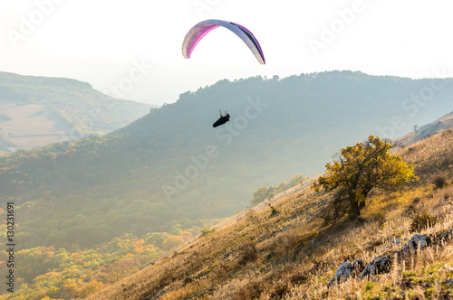 Paraglider in sunny day flying in Palava, hill Devin, South Moravia, Czech Republic