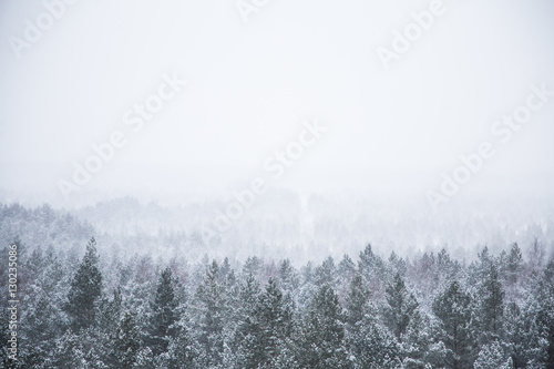 A beautiful winter landscape in nordic Europe © dachux21