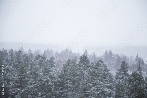 A beautiful winter landscape in nordic Europe