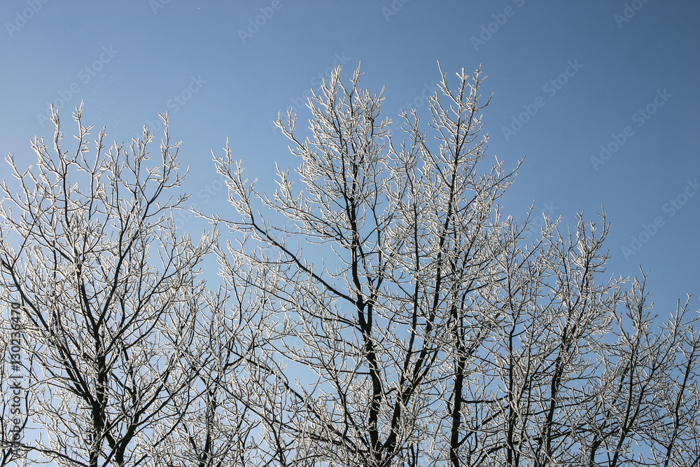 A beautiful winter landscape in nordic Europe A beautiful winter landscape in nordic Europe