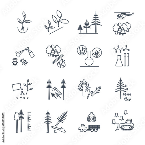 set of thin line icons forestry and silviculture production proc photo
