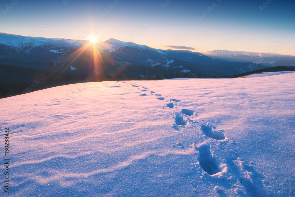 Fototapeta premium The track of footprints on a fresh snow