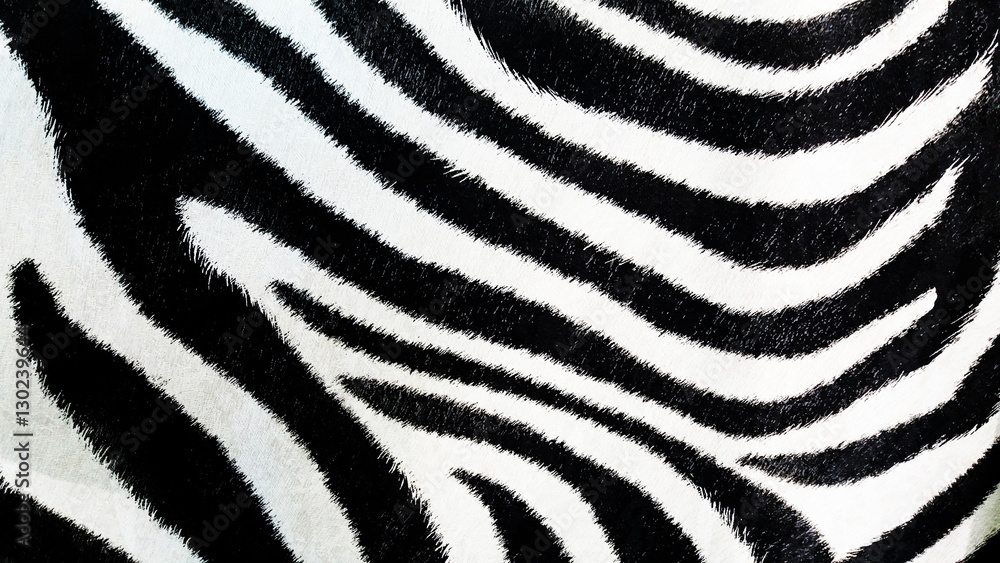 Zebra pattern, black and white background, textured wallpaper Zebra pattern, black and white background, textured wallpaper