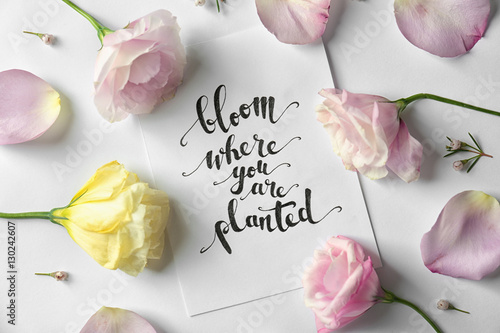 Quote "Bloom where you are planted" written on paper with petals and flowers. Top view