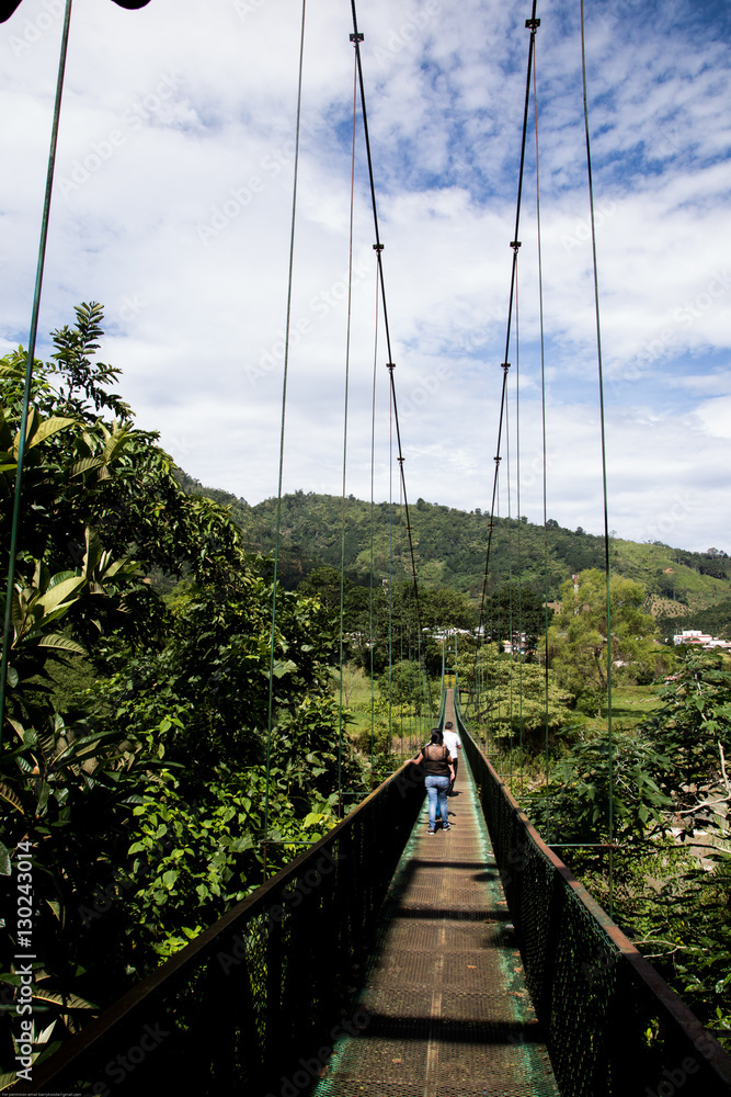 Obraz premium Pedestrian Suspension Bridge