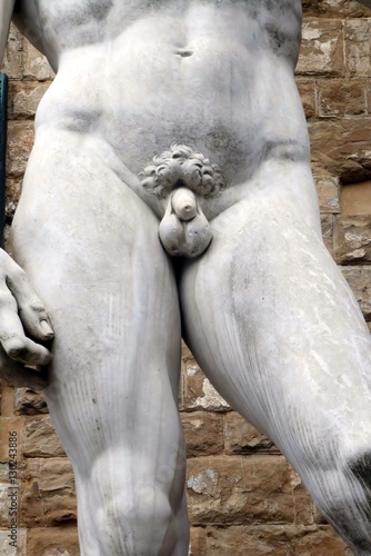 particolare di David, statua di Michelangelo  in Piazza della Signoria a Firenze in Italia