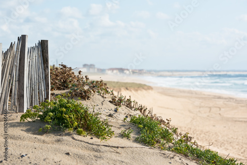 Wooden fence on Atlantic beach in France