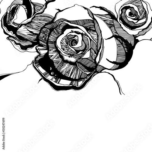 Vector multicolor rose flowers. Vector stylized roses.