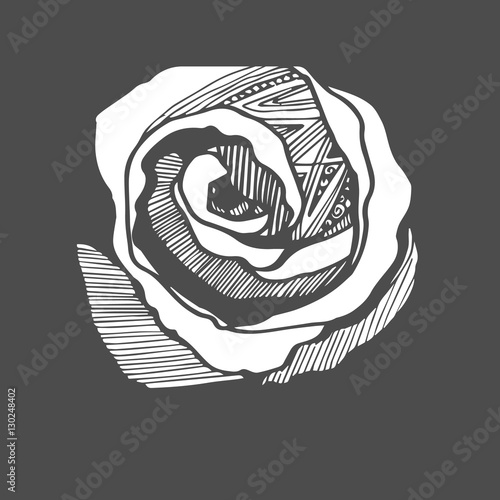 flower, rose, spring, summer, background, botanical, garden