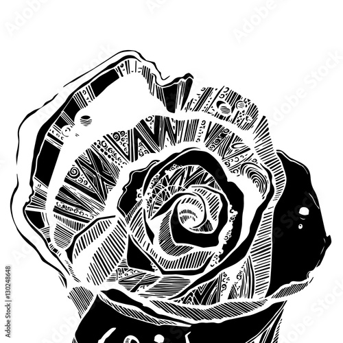 flower, rose, spring, summer, background, botanical, garden