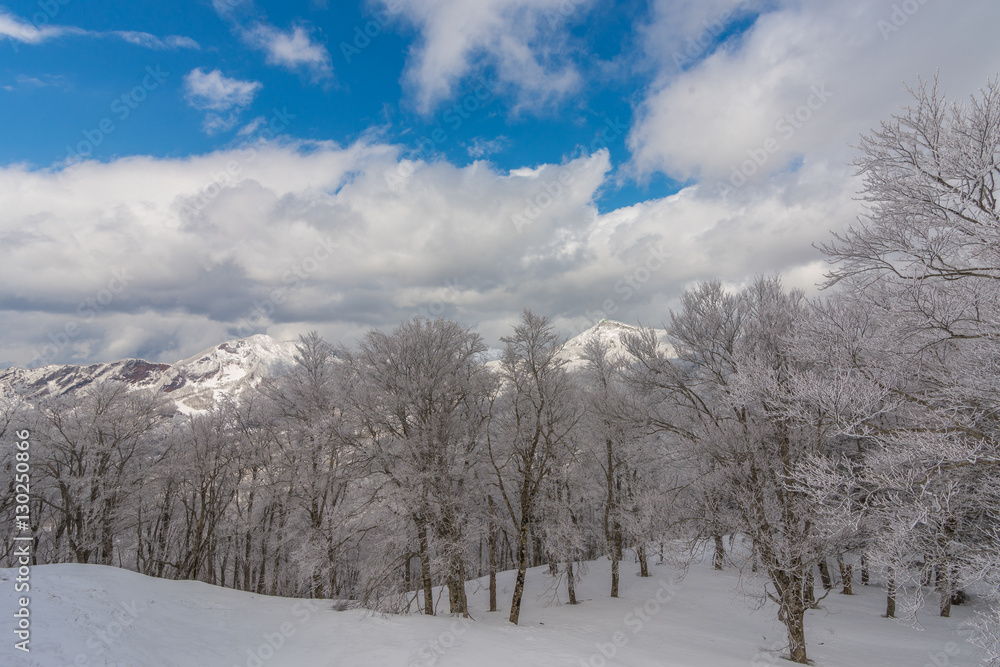 Snowy Mountains landscape against clear sky,Japan Snowy Mountains landscape against clear sky,Japan