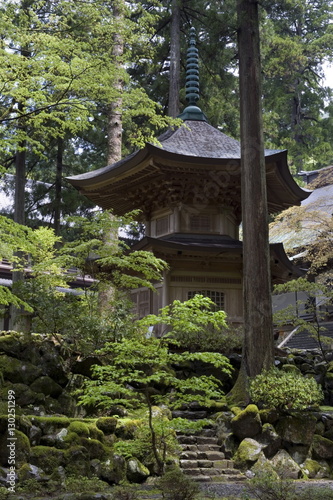 Pagoda at Eiheiji Temple, headquarters of the Soto sect of Zen Buddhism, Fukui, Japan photo
