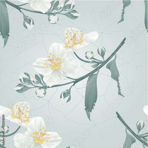 Seamless texture twig jasmine flower and buds cracks in the porcelain vintage blue background vector illustration