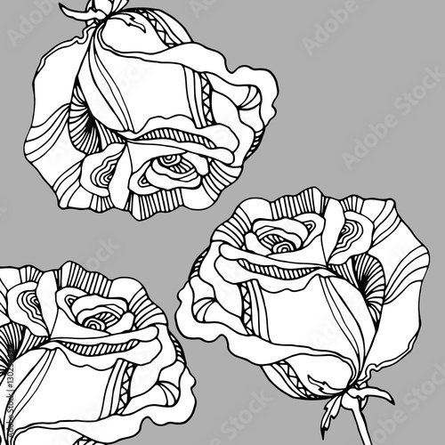 floral flower rose spring summer background botanical