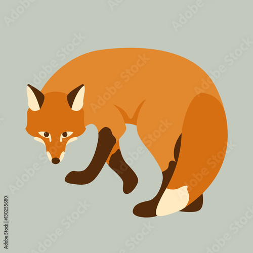 Fox vector illustration style Flat