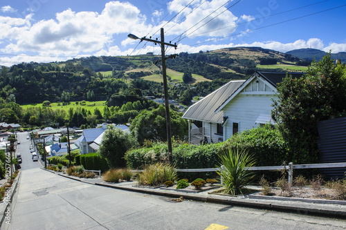 Baldwin Street, the world's steepest residential street, Dunedin, Otago, South Island, New Zealand photo