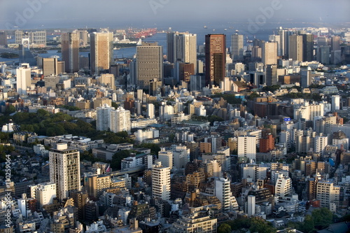 Aerial view of metropolitan Tokyo from atop the Mori Tower at Roppongi Hills, Tokyo, Japan photo