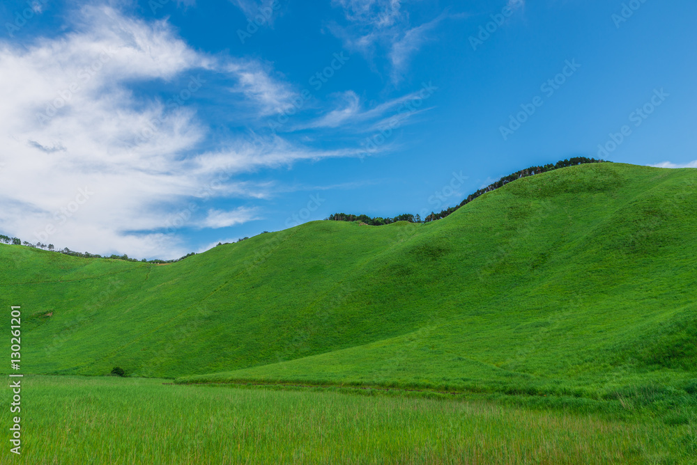 Greengrass at Soni plateau,Nara Prefecture ,Japan Greengrass at Soni plateau,Nara Prefecture ,Japan