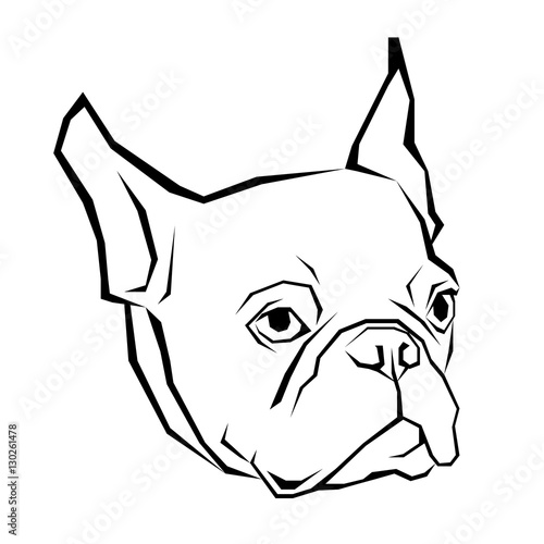 dog vector breed cute pet animal bulldog