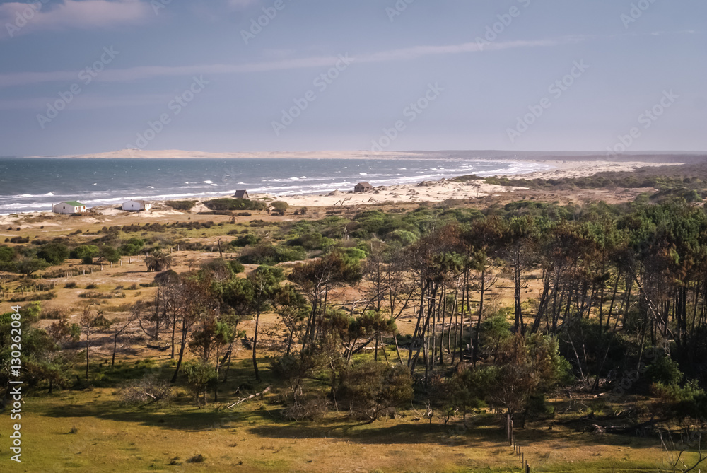Fototapeta premium Valizas in Uruguay