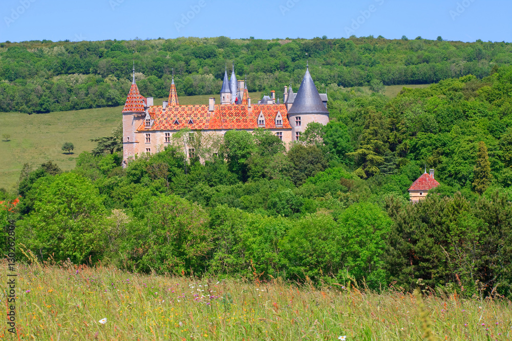 château de la Rochepot, Côte d'or, bourgogne-franche-comté