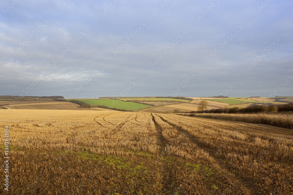 yorkshire wolds agriculture