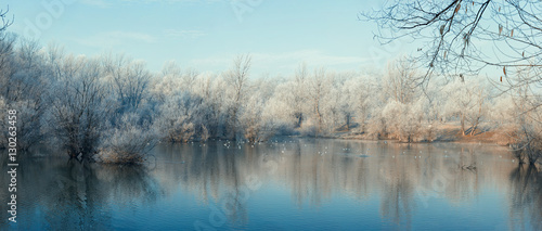 Frost covered trees by the lake on a bright sunny day  winter scene