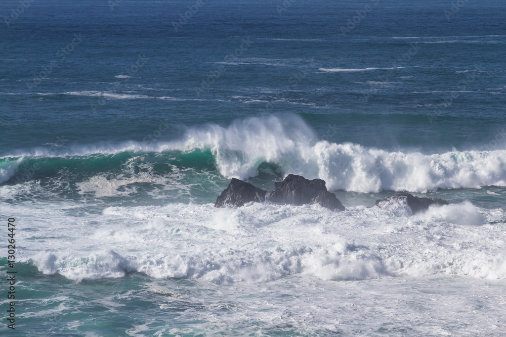 coastal scene in California