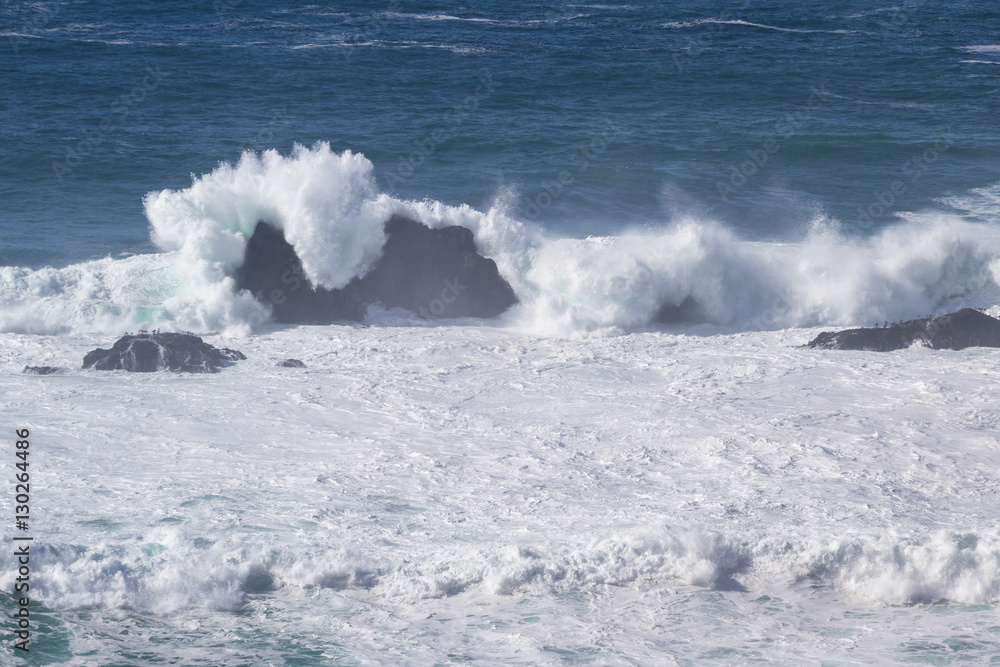 Fototapeta premium coastal scene in California