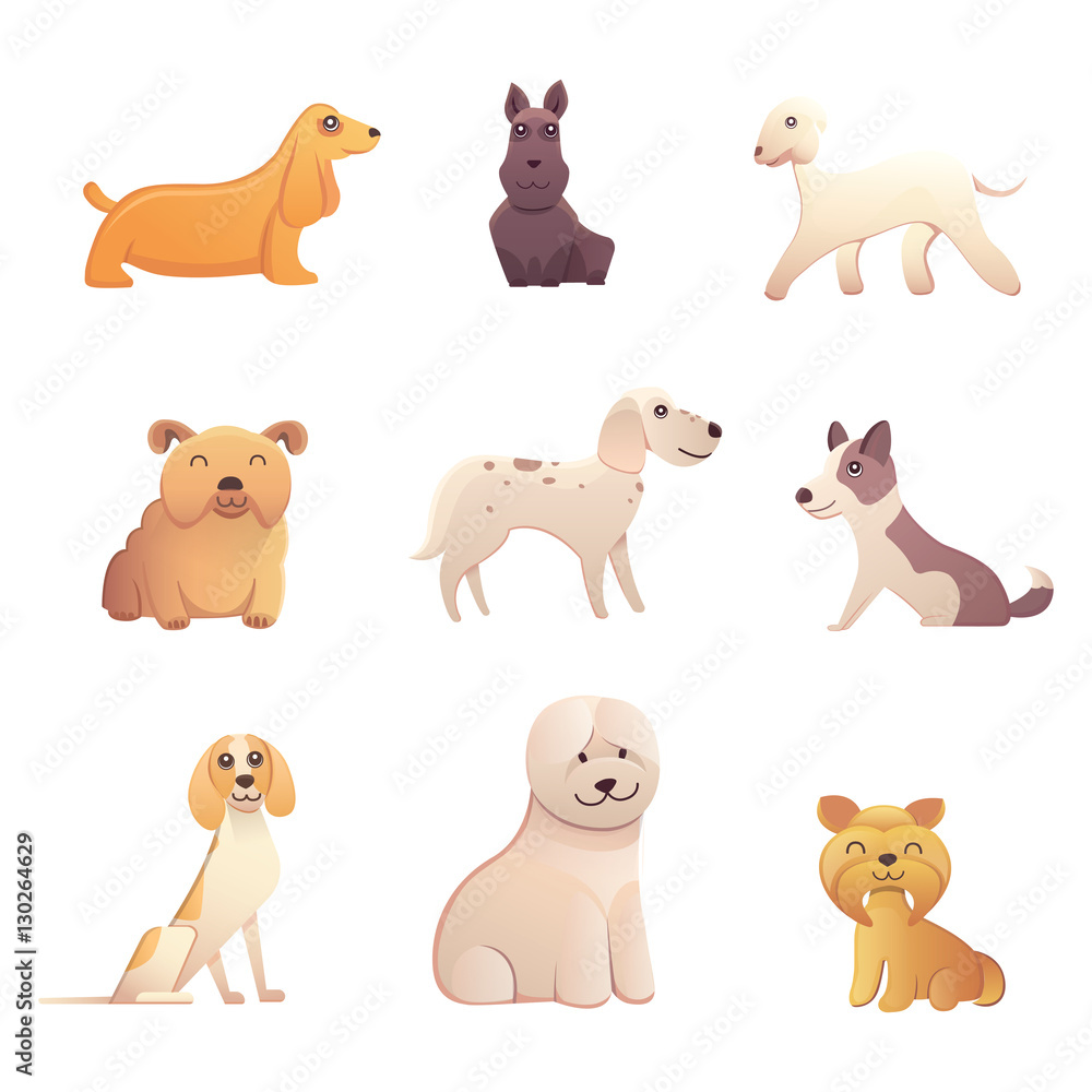 Group of purebred dogs. Illustration for dog training courses, breed club landing page and corporate site design Group of purebred dogs. Illustration for dog training courses, breed club landing page and corporate site design