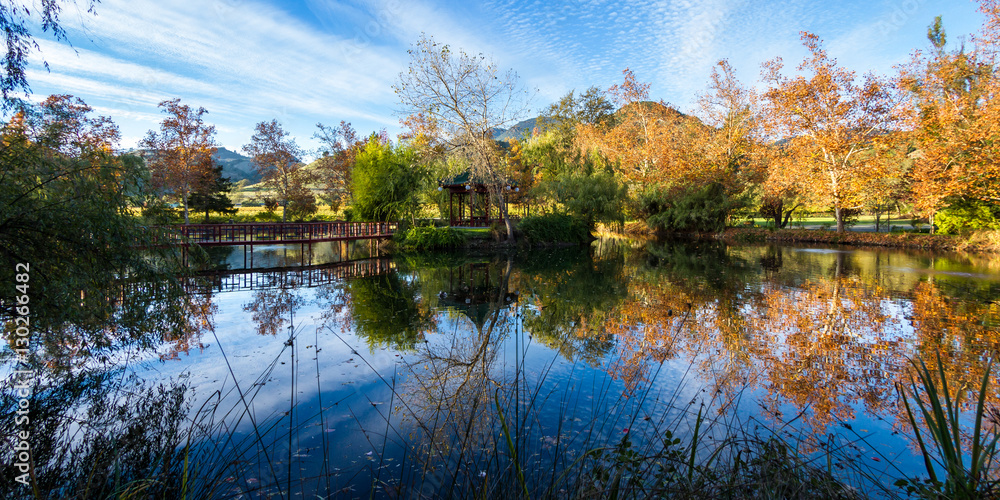 Fototapeta premium calming autumn scene