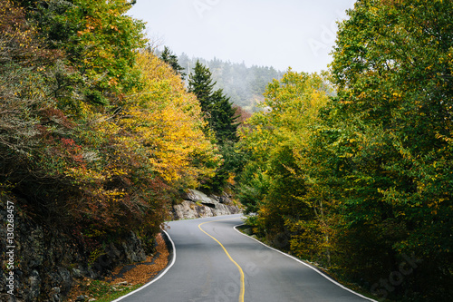 Early autumn color along the road to Grandfather Mountain, North