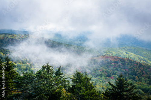 Foggy view of the Blue Ridge Mountains from Grandfather Mountain © jonbilous