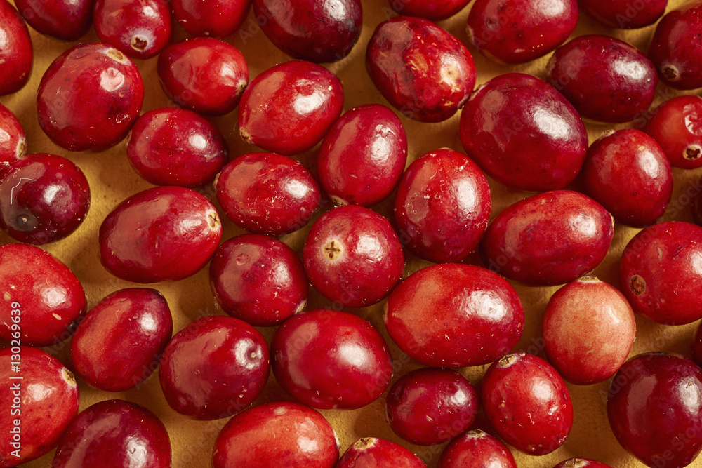 fresh, ripe cranberries fresh, ripe cranberries