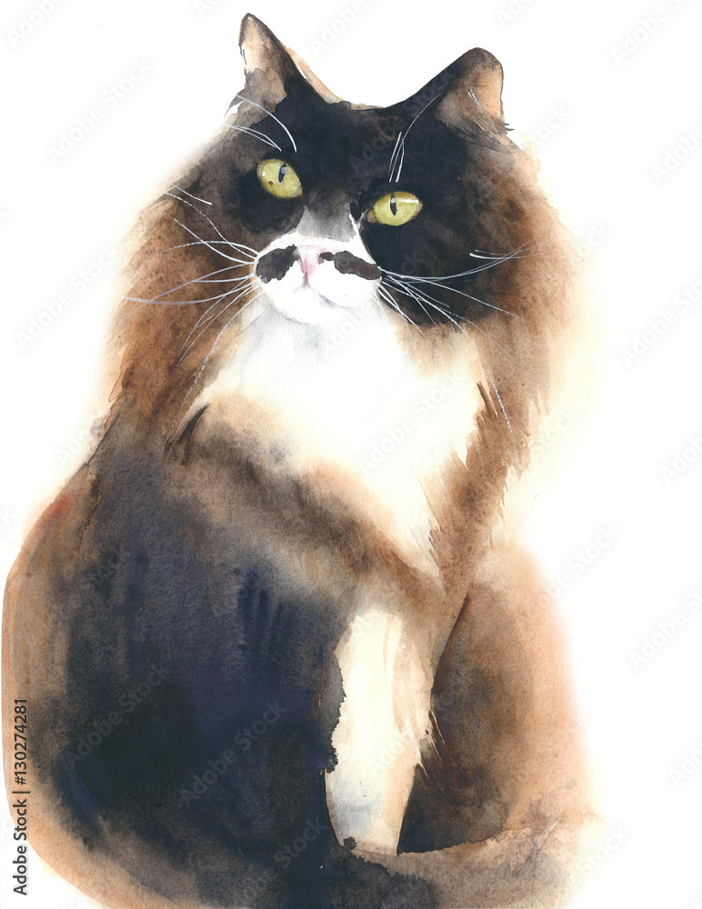 Cat fluffy cat portrait watercolor painting illustration isolated on ...