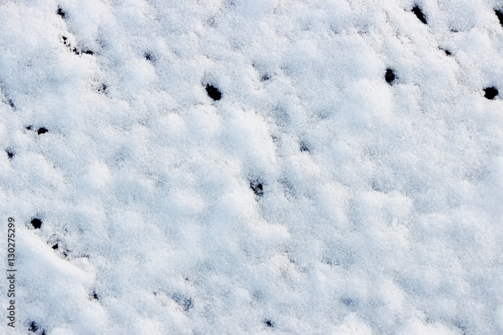 texture of white snow like small drifts that covered the dug earth texture of white snow like small drifts that covered the dug earth