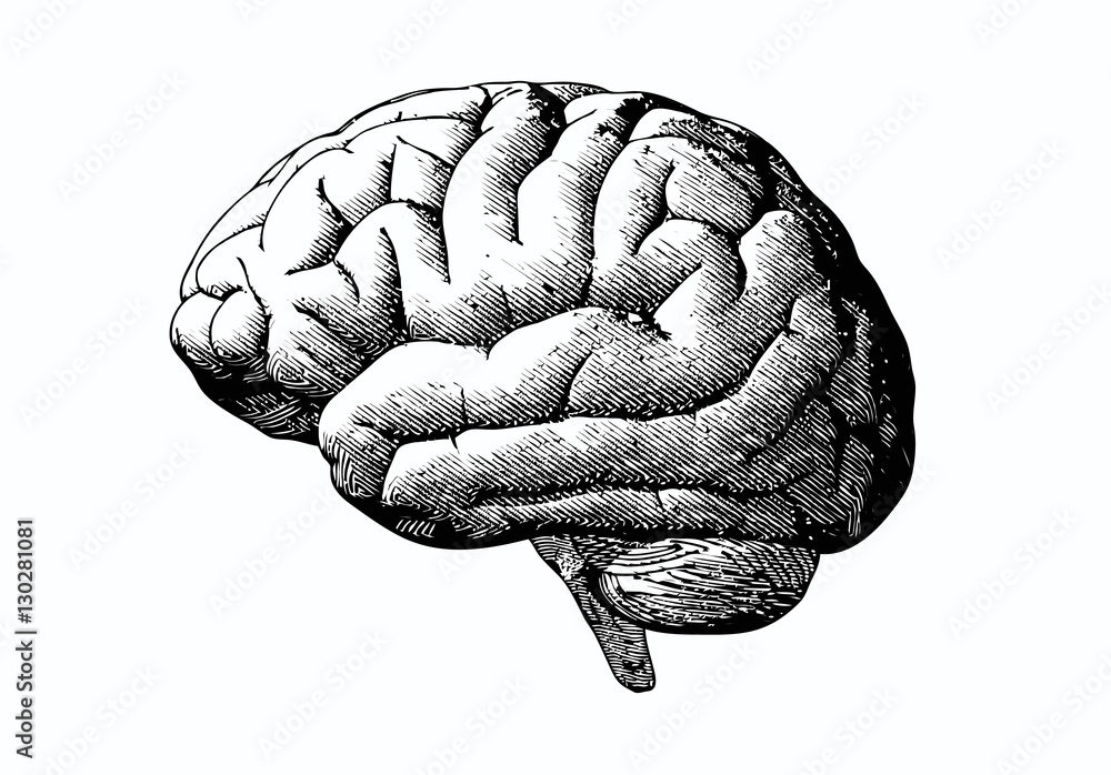 Engraving brain with black on white BG - obrazy, fototapety, plakaty 