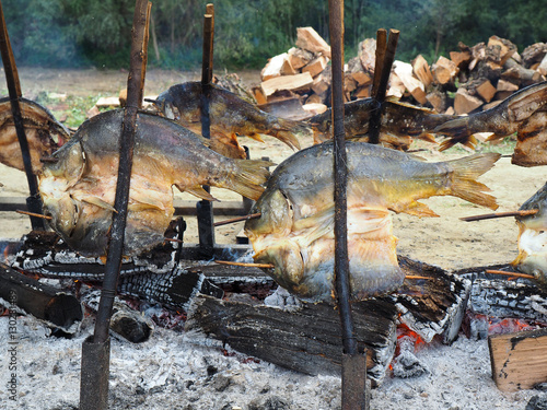 Carp in wooden fork photo