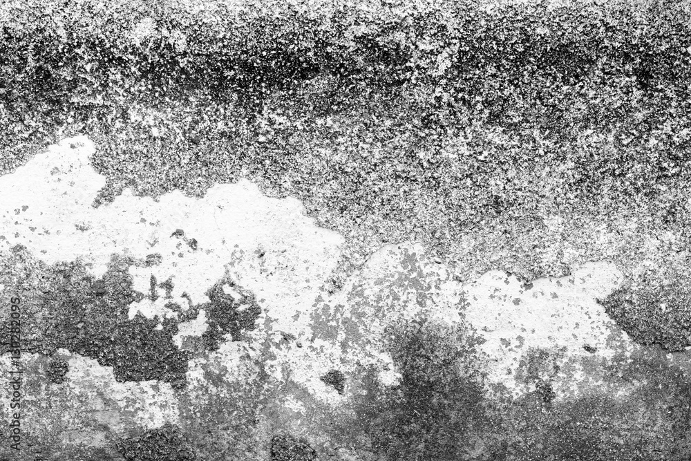 Wall fragment with scratches and cracks Wall fragment with scratches and cracks