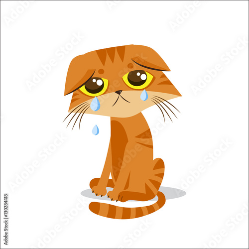 Sad Crying Cat. Cartoon Vector Illustration. Crying Cat Meme. Cat Face Picture. Crying Cat Emoticon. Cat Baby Tears. Cat Wants To Come In. The Poor Cat. Weeping Homeless Cat.