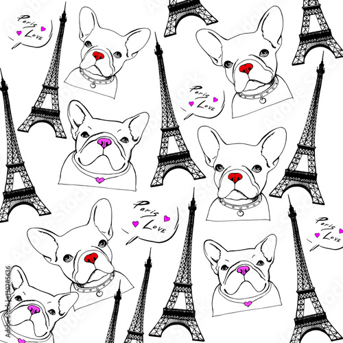 dog, vector, breed, cute, pet, animal, bulldog