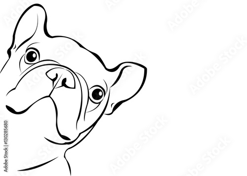 dog, vector, breed, cute, pet, animal, bulldog