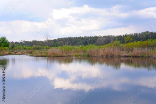 River in the spring