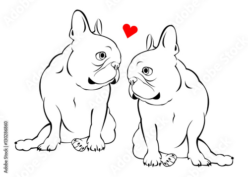 dog, vector, breed, cute, pet, animal, bulldog