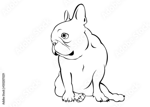 dog, vector, breed, cute, pet, animal, bulldog