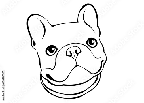 dog, vector, breed, cute, pet, animal, bulldog