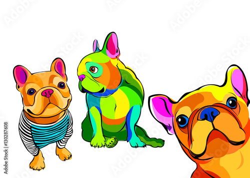 dog, vector, breed, cute, pet, animal, bulldog